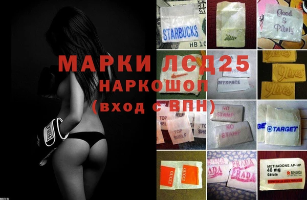 спиды Алзамай