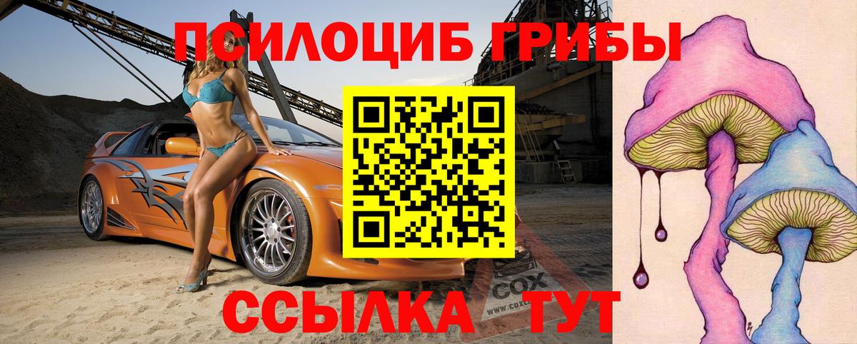 Норильск  Псилоцибиновые грибы мицелий  Вход с VPN  Галлюциногенные грибы Psilocybe 