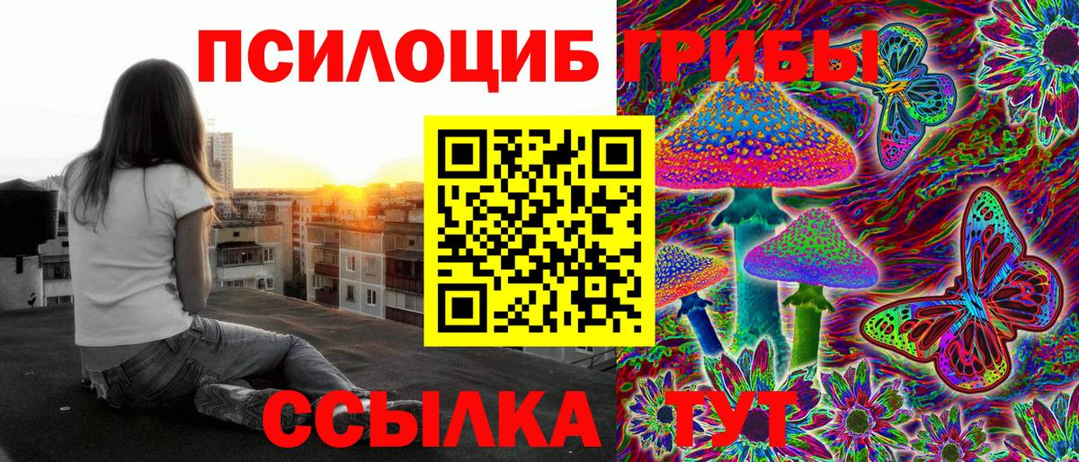 Галлюциногенные грибы мухоморы Норильск